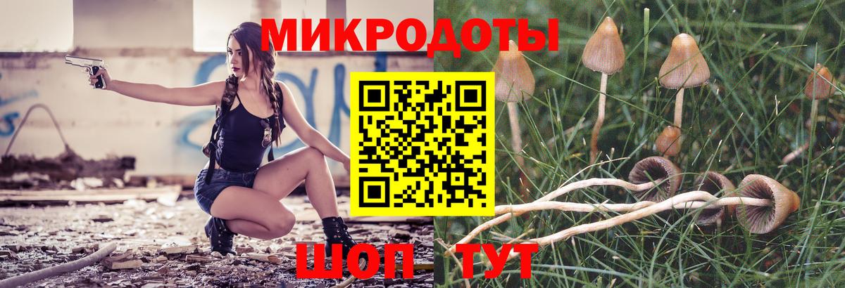 Псилоцибиновые грибы Psilocybine cubensis Зеленокумск